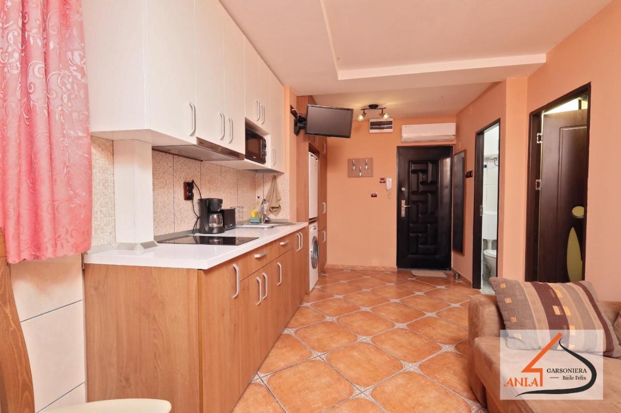 Garsoniera Ania Baile Felix Apartment Exterior photo